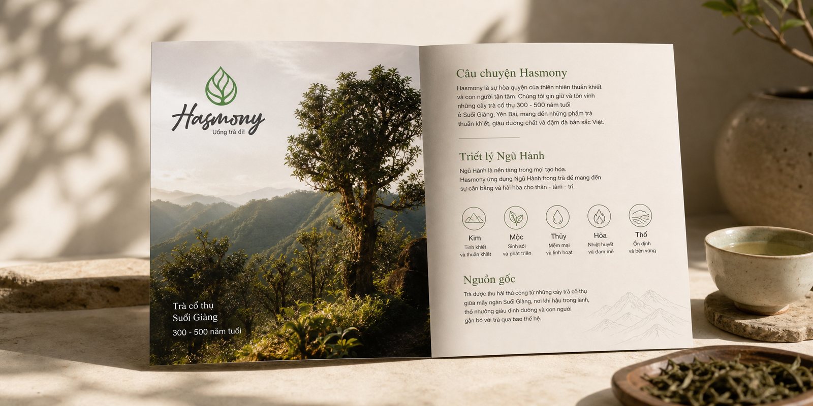 Catalog sản phẩm trà Hasmony