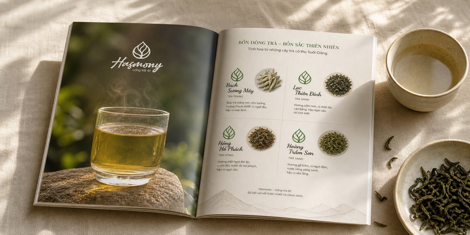 Catalog và bộ ảnh sản phẩm trà Hasmony