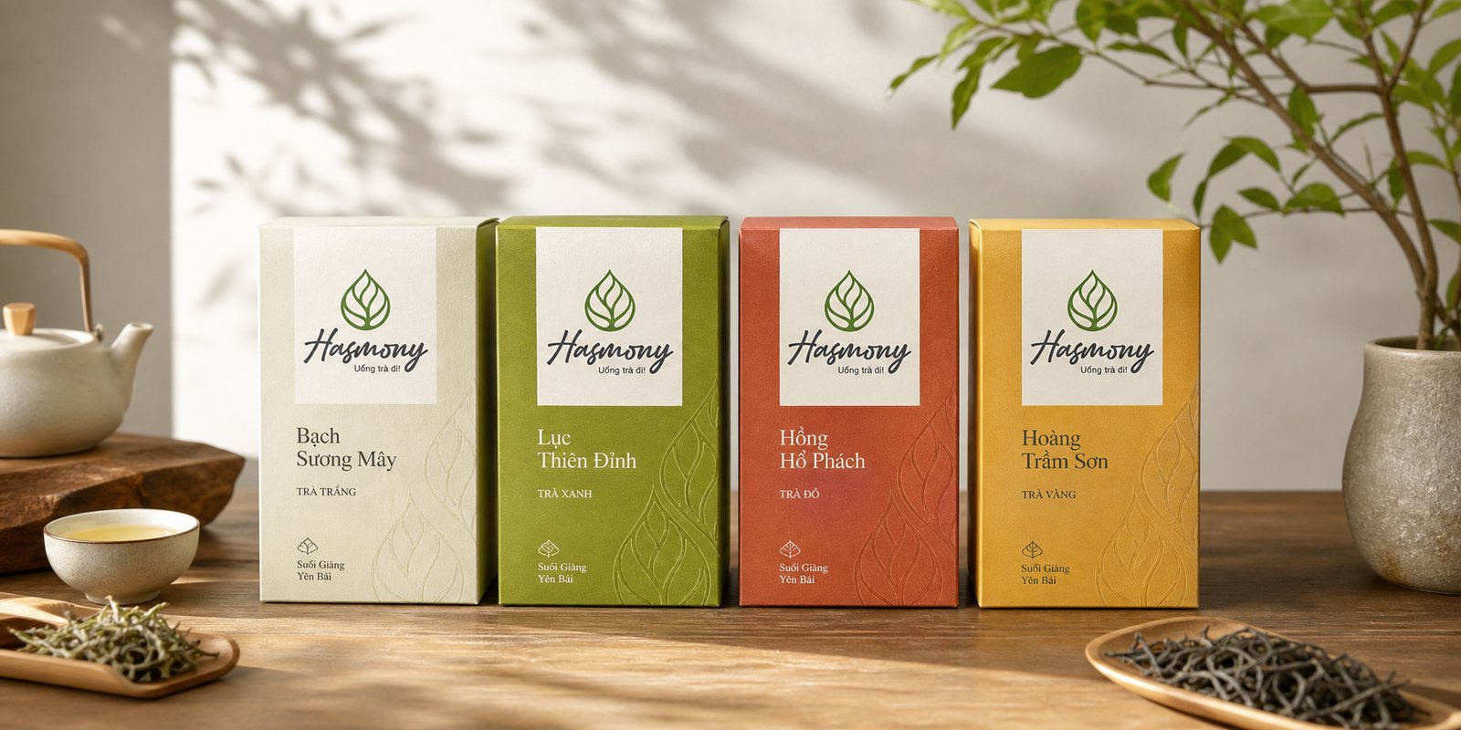 Hệ bao bì bốn dòng trà Bạch, Lục, Hồng, Hoàng của Hasmony