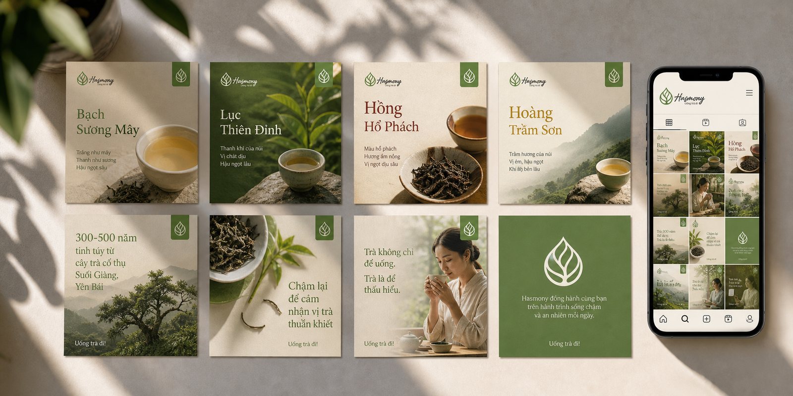 Bộ mẫu truyền thông mạng xã hội Hasmony