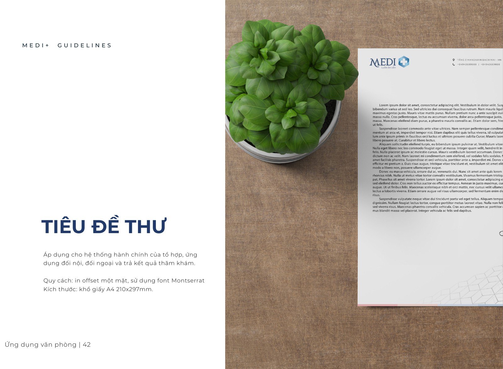 Tiêu đề thư MEDI Plus